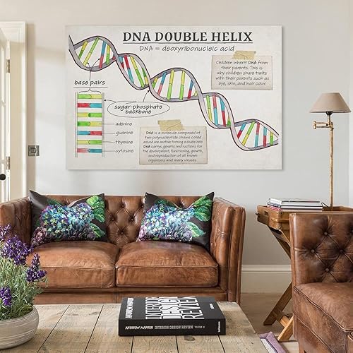 Miniatura 3 de Póster de biología con función celular de ADN, estructura celular, póster educativo para aula, póster artístico y arte de pared, decoración moderna