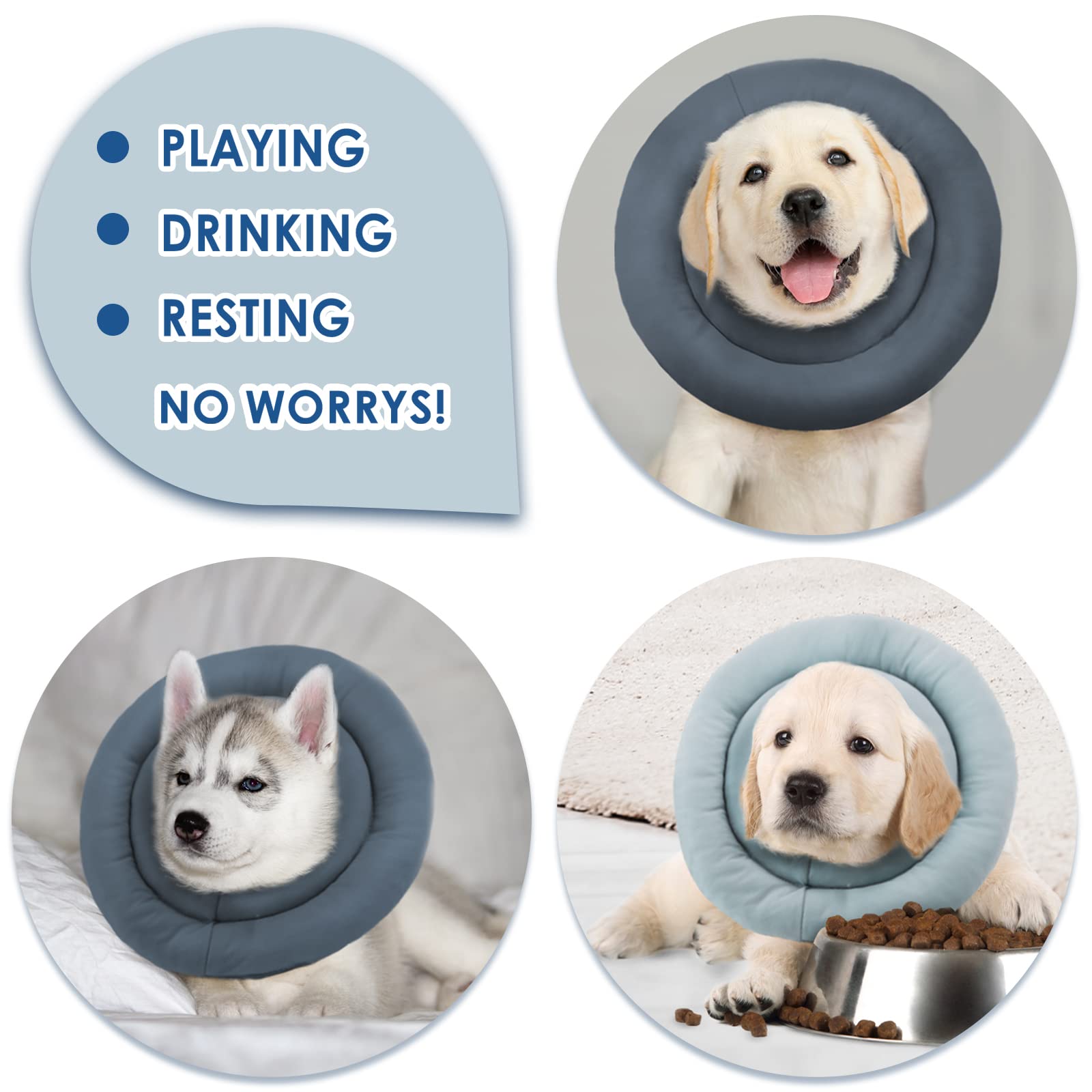 How Can I Get My Dog To Drink Water After Surgery