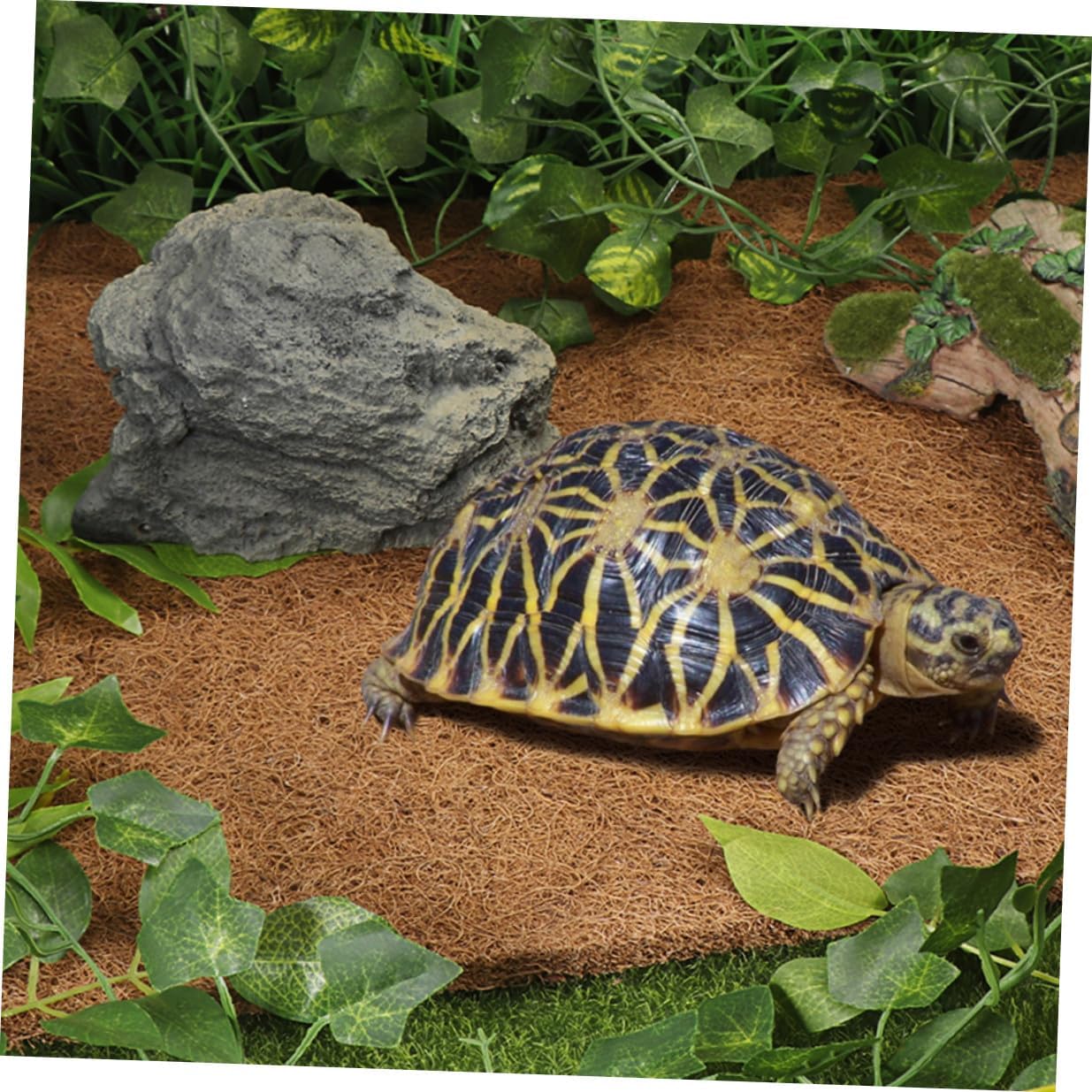 Angoily Reptile Terrarium Bedding Mat Coconut Fiber Substrate Liner for Lizards Tortoise Bearded Dragon Soft Non-Slip Insulation Carpet Pad for Glass Enclosures
