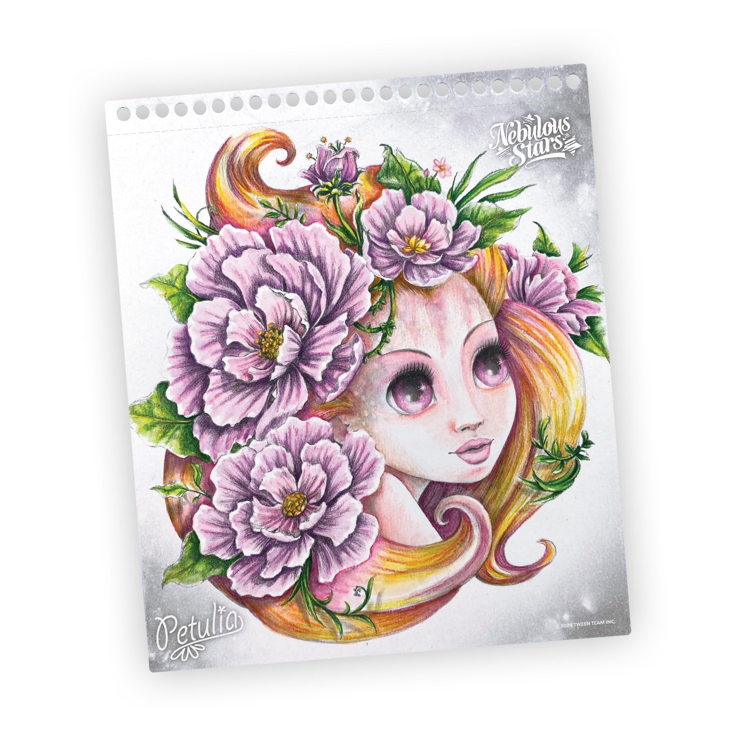 TOYNAMICS FRANCE SAS- Actividades manu (NS11133)