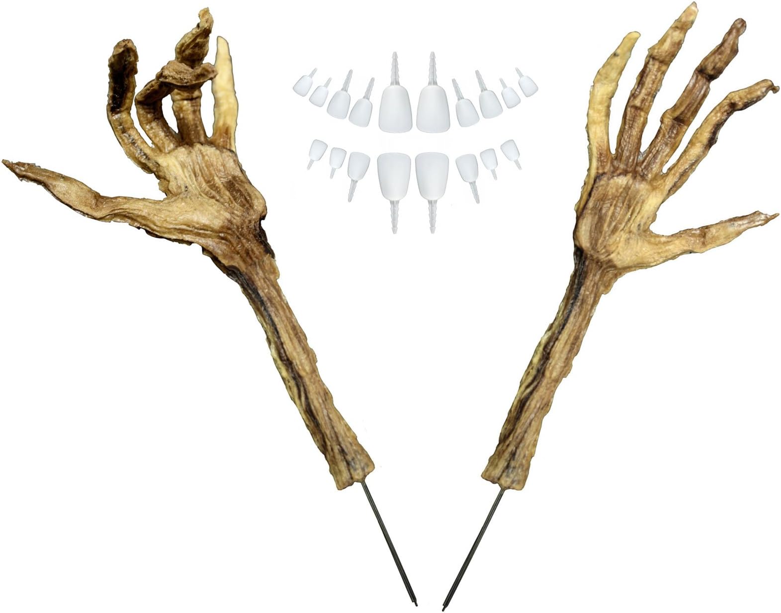 Wolf Novelty Realistic Pumpkin Arms & Buck Teeth [WVS-FVA & WPT-BT]