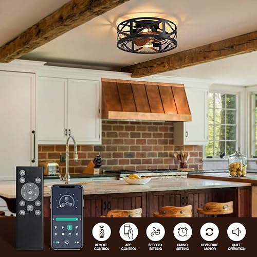 Miniatura 2 de Ventiladores de techo enjaulados de 20 pulgadas con luces, moderno ventilador de techo regulable con control remoto de luces, ventilador de techo