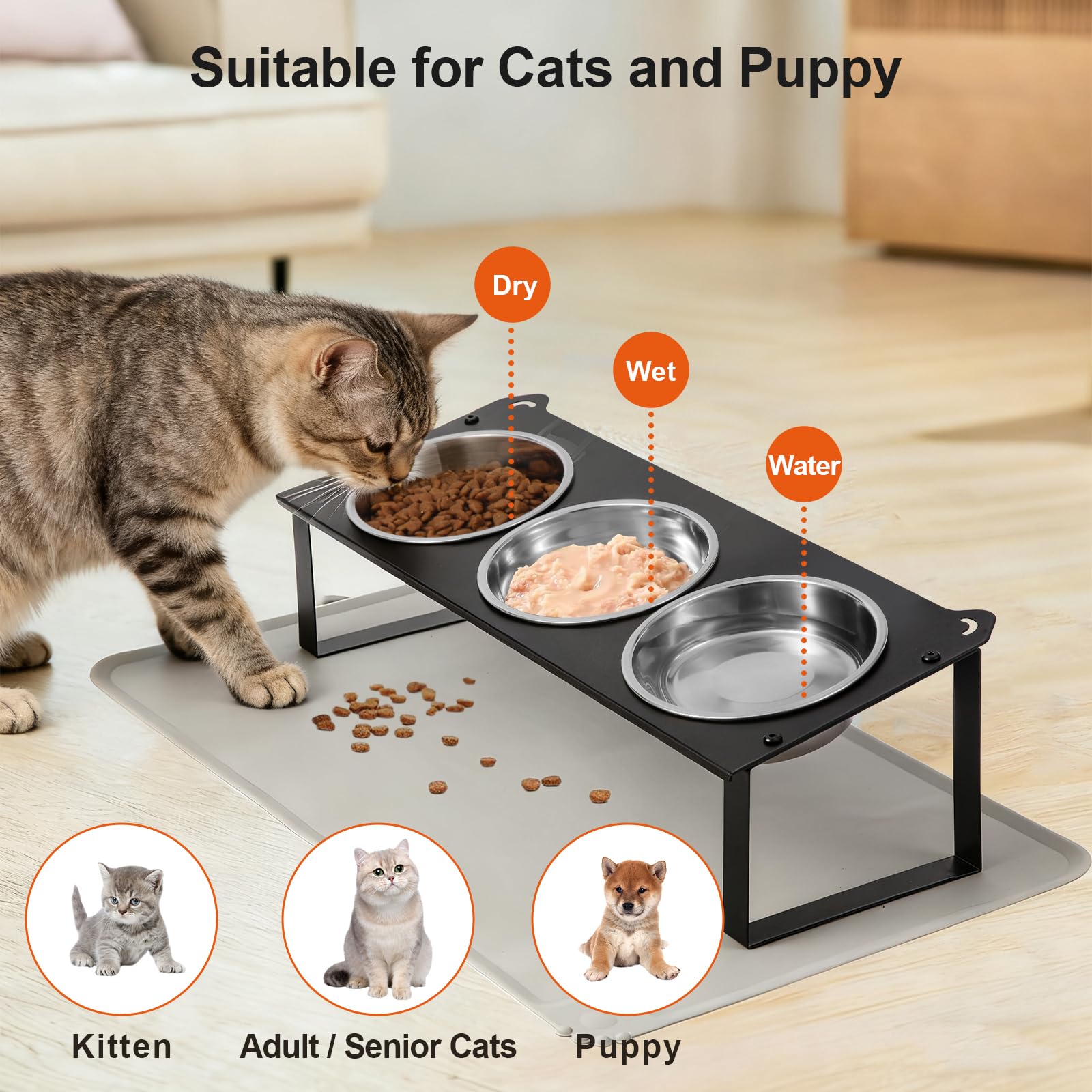 Erhöhte Katzennäpfe mit Futtermatte, 10 ° geneigt, rutschfest, erhöhtes Katzenfutter, Wassernäpfe Set, 3 dicke Edelstahl-Haustierschalen mit niedlichem Metall-Futterständer für Indoor-Kätzchen, Welpen