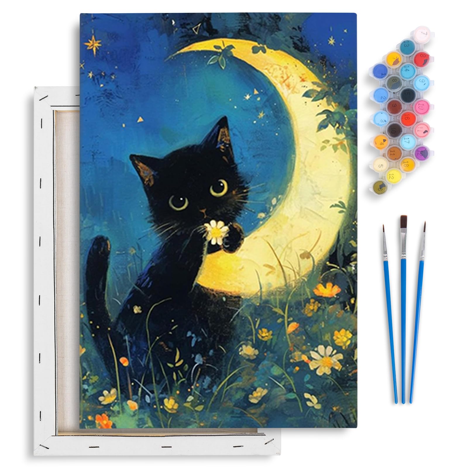 Fountor Black Cat Paint by Numbers for Adults with Frame Beginner 20x30 CM