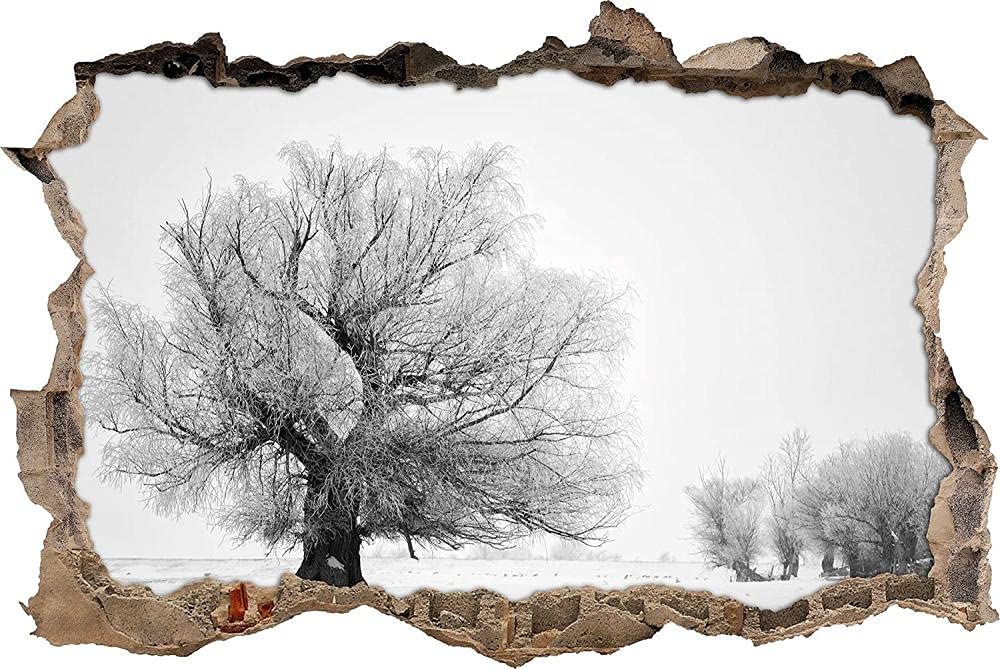 3D Pegatinas de Pared Sala de Estar Calcomanía Dibujos Niños Adolescentes Niños Habitación árbol cubierto de nieve extraíble Autoadhesivo Pegatinas de Pared Papel Tapiz Póster 80x120cm