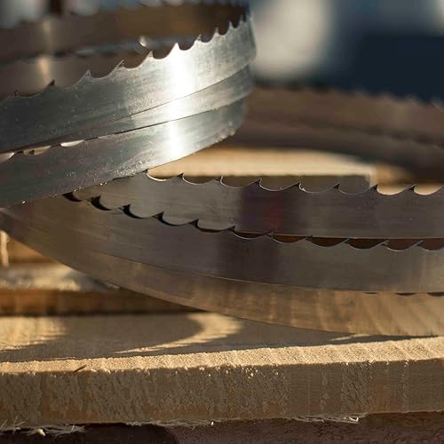 Miniatura 2 de Wood-Mizer DoubleHard - Hojas de sierra de cinta para aserradero de 167 pulgadas, 10, multiusos, paquete de 5