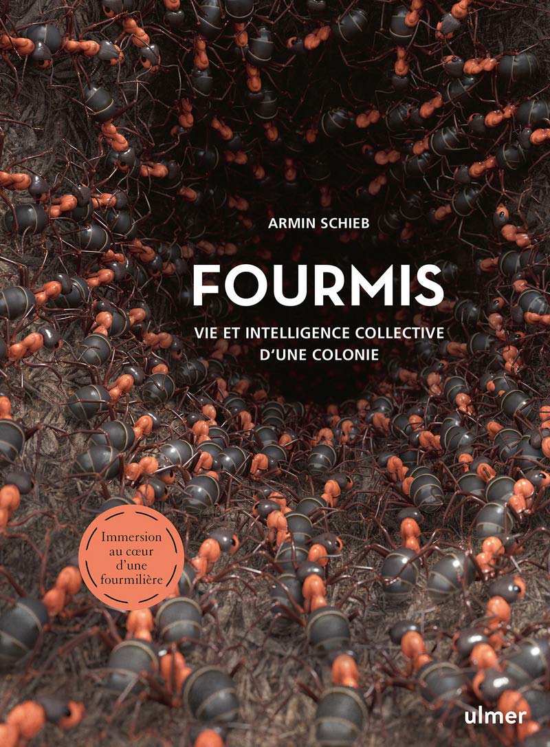 Fourmis - Vie et intelligence collective d'une colonie