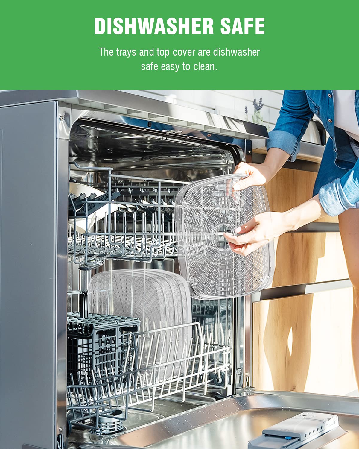 https://m.media-amazon.com/images/I/716vT0Tl3xL.jpg