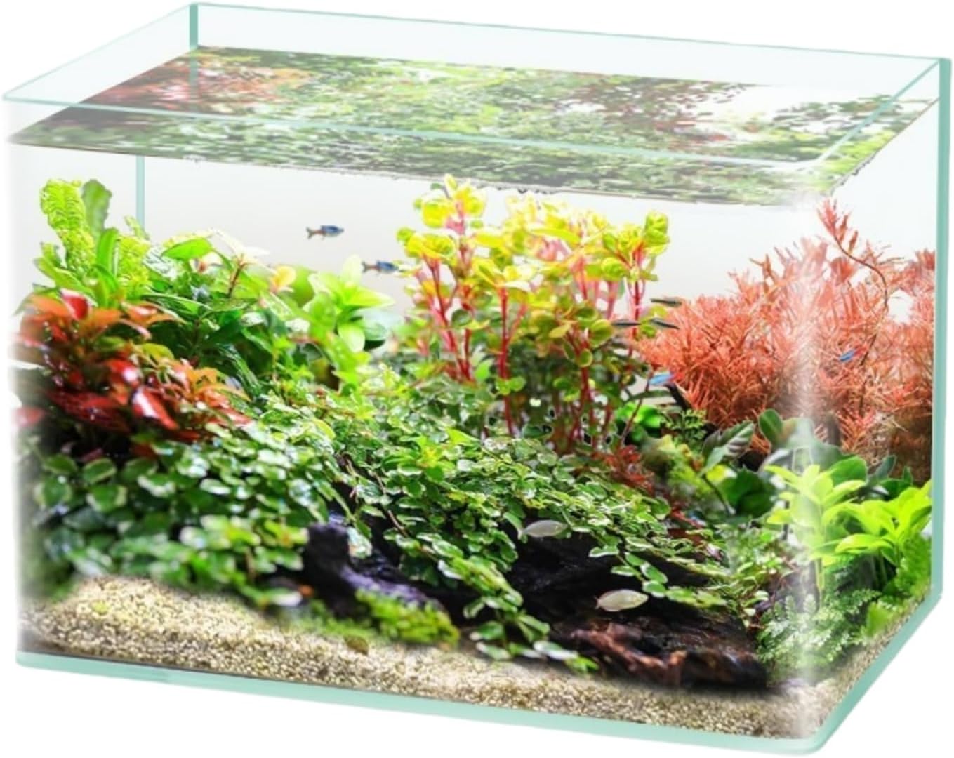 金魚鉢 四角い水槽 ガラス水槽 ガラス容器 メダカ 鉢大型 大容量 おしゃれ 水族館 室内アイテム 熱帯魚 金魚 観葉植物 植物栽培