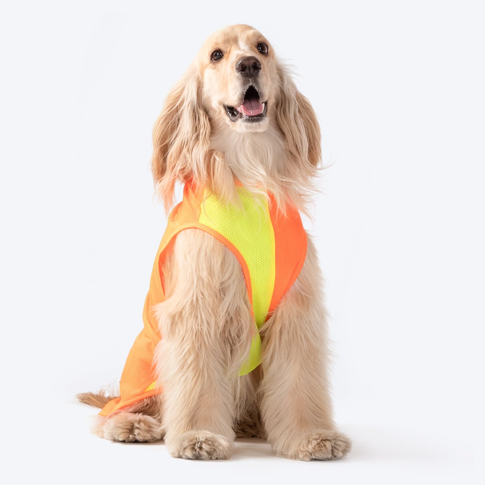 Heads Up For Tails Neon Burst Vest for Dogs - Neon & Orange - S (B0CBPJ1MHM) Amazon Price History, Amazon Price Tracker