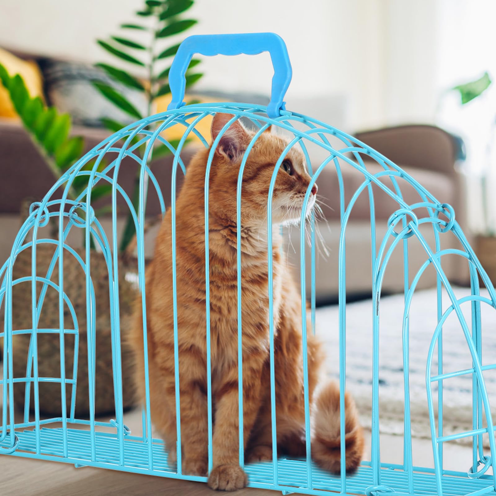 SHERCHPRY Jaula de Aseo para Gatos, Jaula de baño para Gatos, Jaula de Ducha para Gatos pequeños, Resistente al Desgaste, fácil de Guardar, Estructura de Hierro, Color Azul
