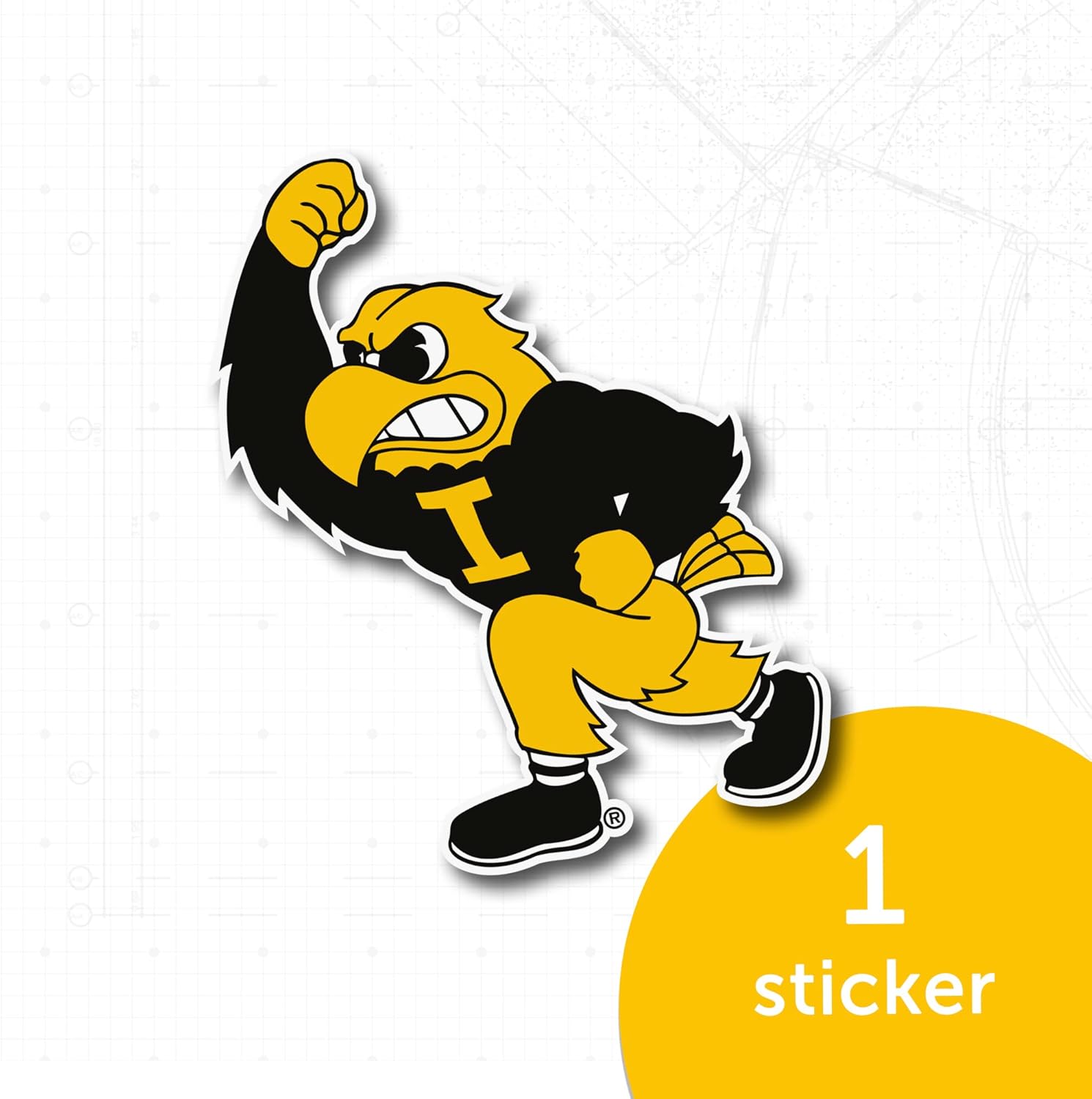 Desert Cactus University of Iowa Sticker Hawkeyes Vinyl Decal Laptop Water Bottle Car Scrapbook (IND 6) - Image 5