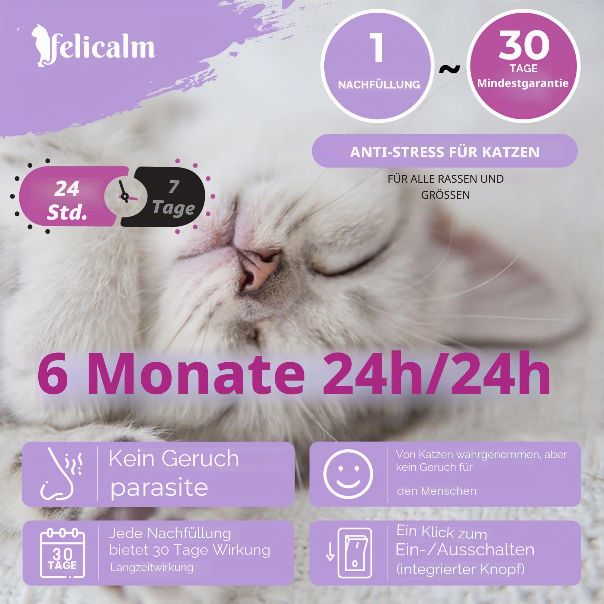 Paris – Neue PHEROMONE-Formel für Katzen und Kätzchen – 6 Nachfüllpackungen mit 48 ml – Anti-Stress für Katzen – beruhigend – Glück und Harmonie