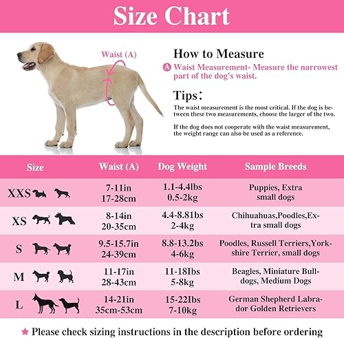 Miniatura 5 de Dono Pañales desechables para perros y gatos, 24 unidades, con indicador de humedad, súper absorbentes, para perros pequeños, medianos y grandes, 24