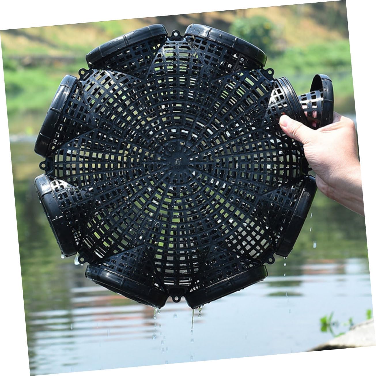 Fish Basket Drop Net Fish Cages Outdoor Fishing Trap Basket Lure Cage Sturdy Plastic for Shrimp Crayfish