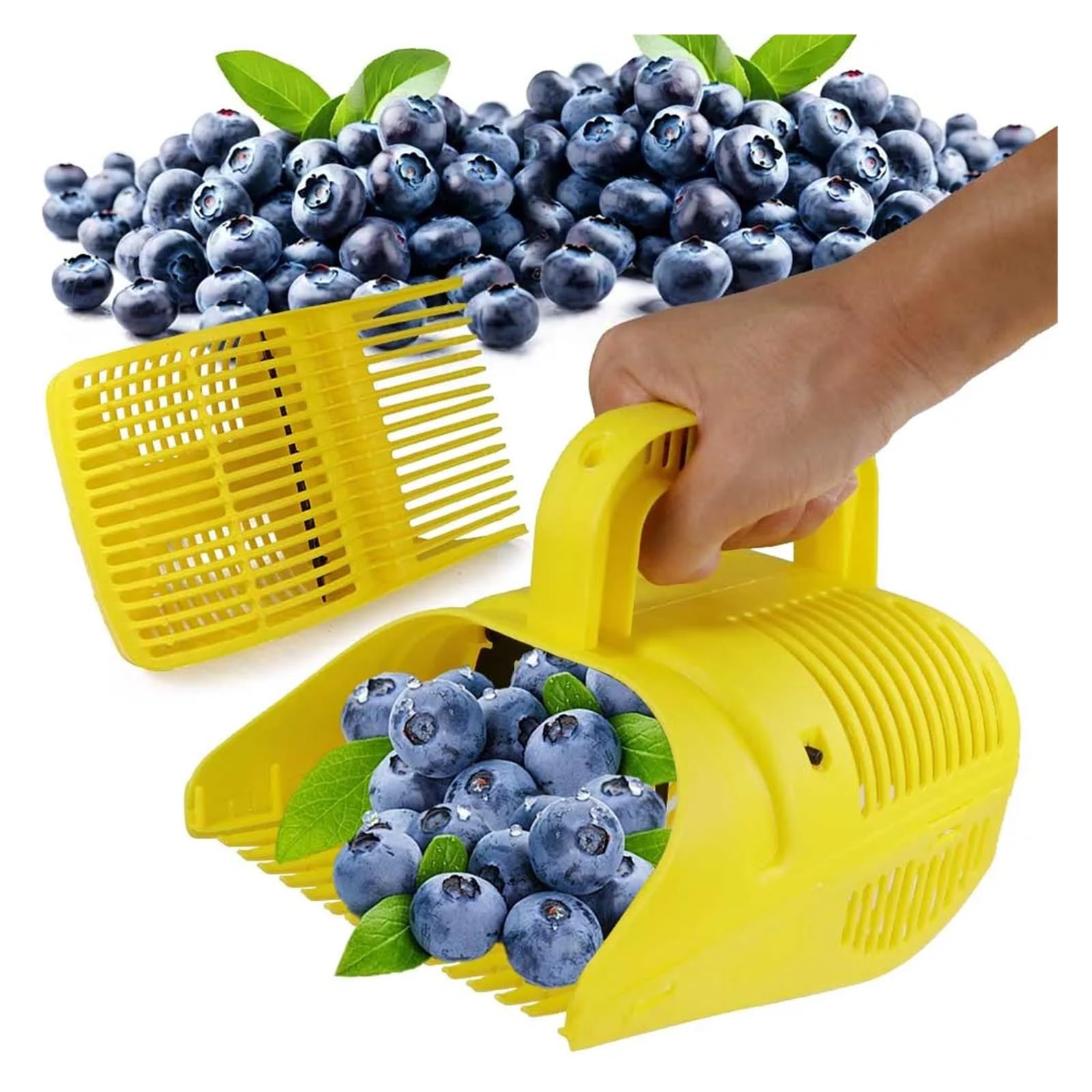 Raccogli Frutta Raccoglitore Portatile di Bacche e mirtilli con Pettine in plastica e rastrelli, Raccolta Manuale di Frutta