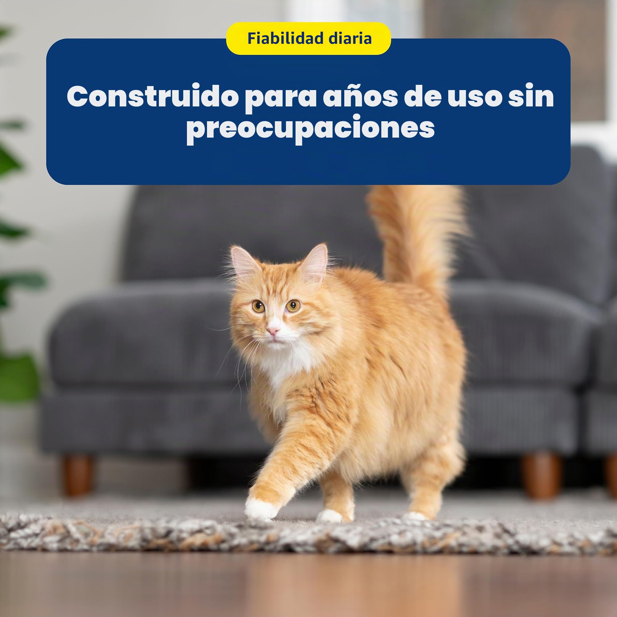PetSafe Seaside Pet Waterfontein, Capacidad de Agua de 1,8 l, Fuente de Acero Inoxidable para Gatos, Ayuda a prevenir el acné en Las Mascotas, Material Resistente a los arañazos y la oxidación