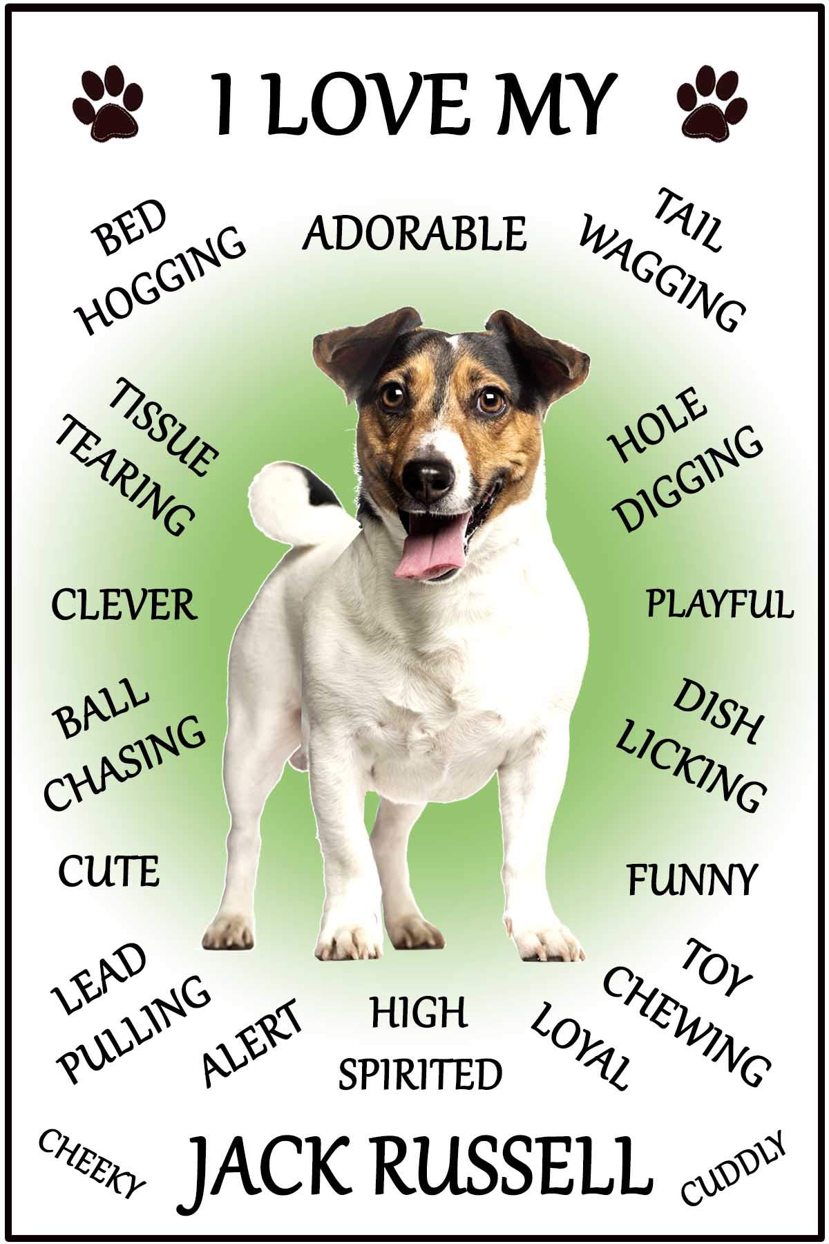 Fridge Magnets White Jack Russell Terrier Gift - I Love My - Dog Character Flexible Fridge Magnet- Size 16Cms X 10 Cms (Approx. 6" X4")
