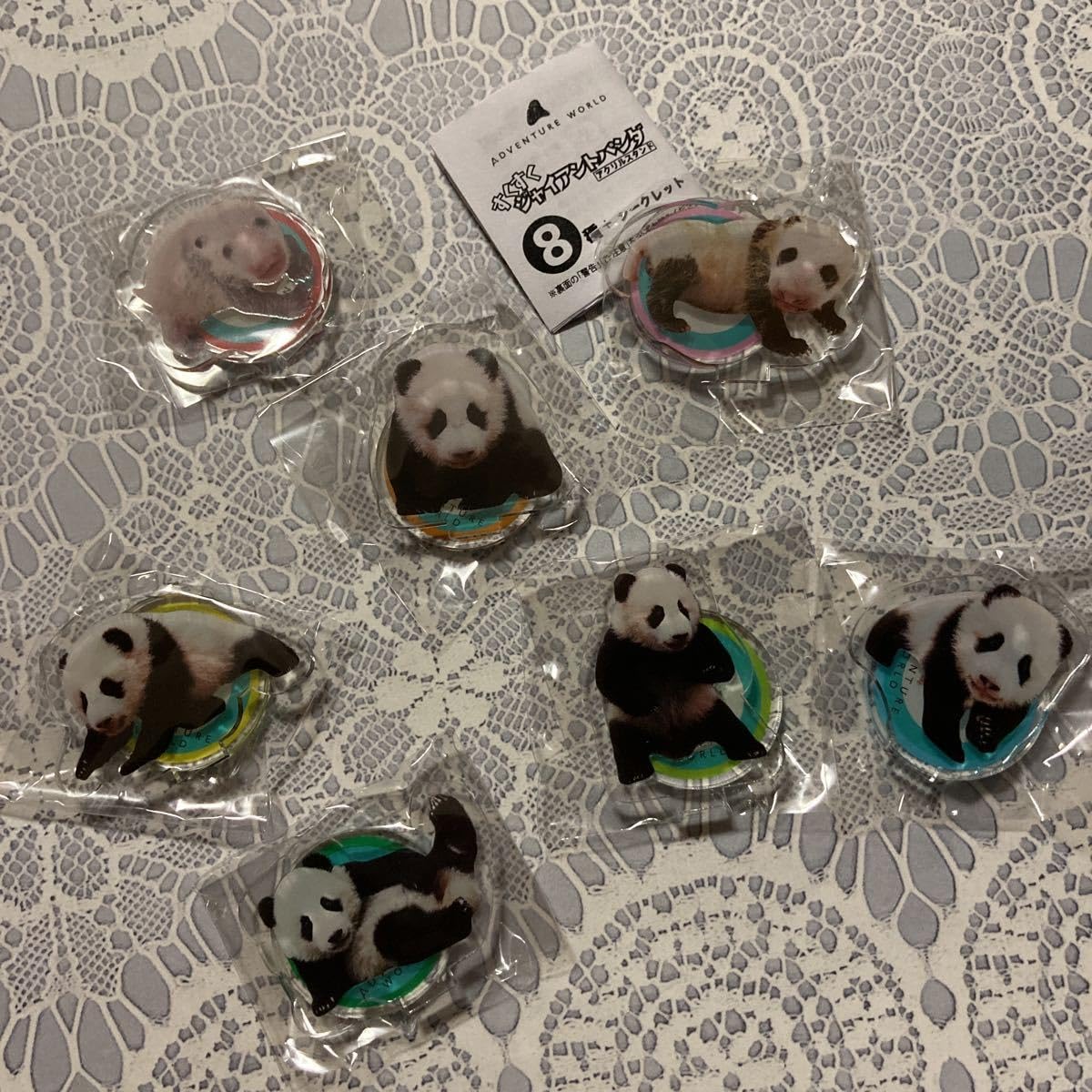 Amazon.co.jp: アドベンチャーワールド 楓浜 アクリルスタンド 7