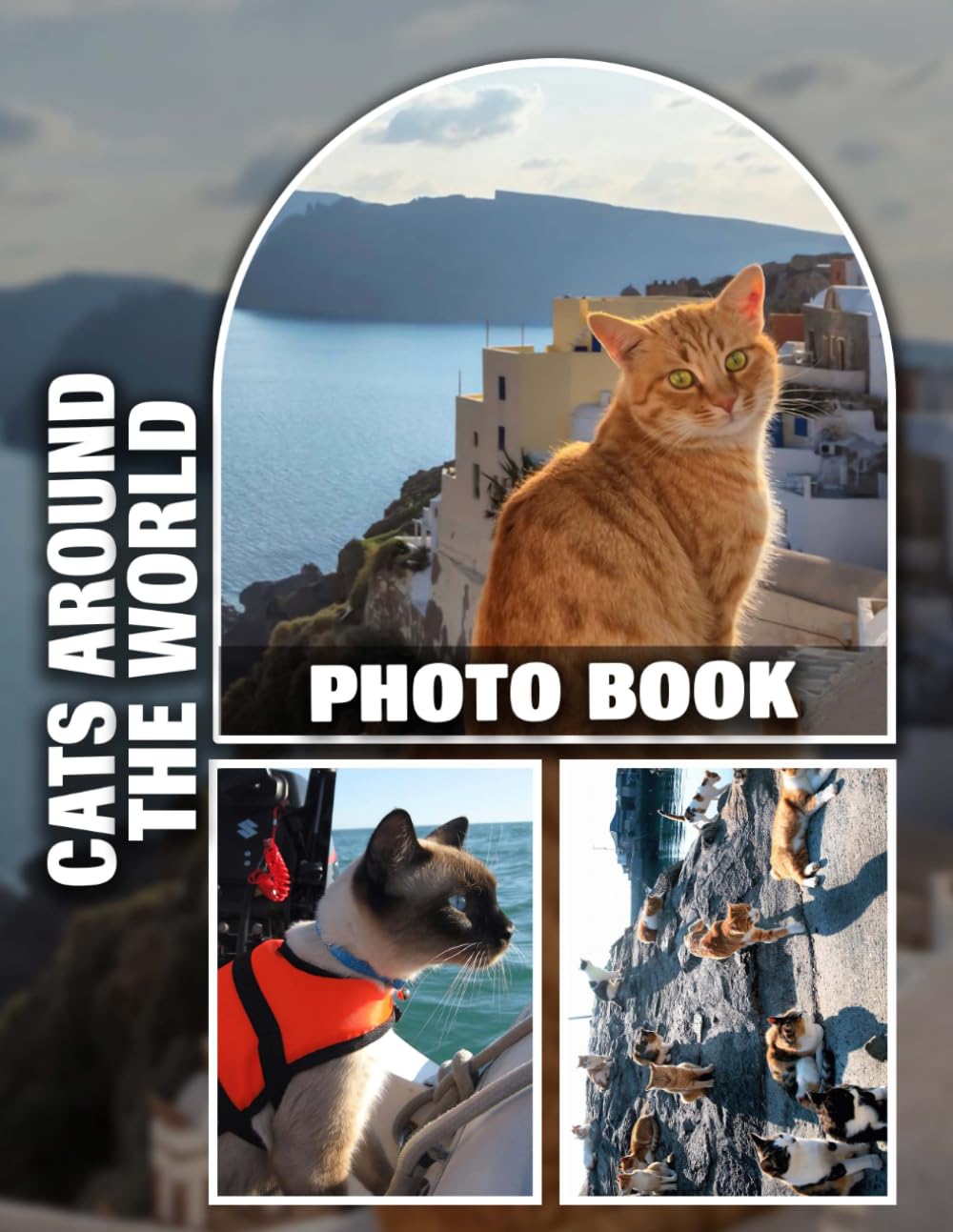 Cats Around The World Photo Book: Stunning Feline Photography From Various Countries for Cat Lovers, Featuring Unique Breeds and Cultural Backgrounds