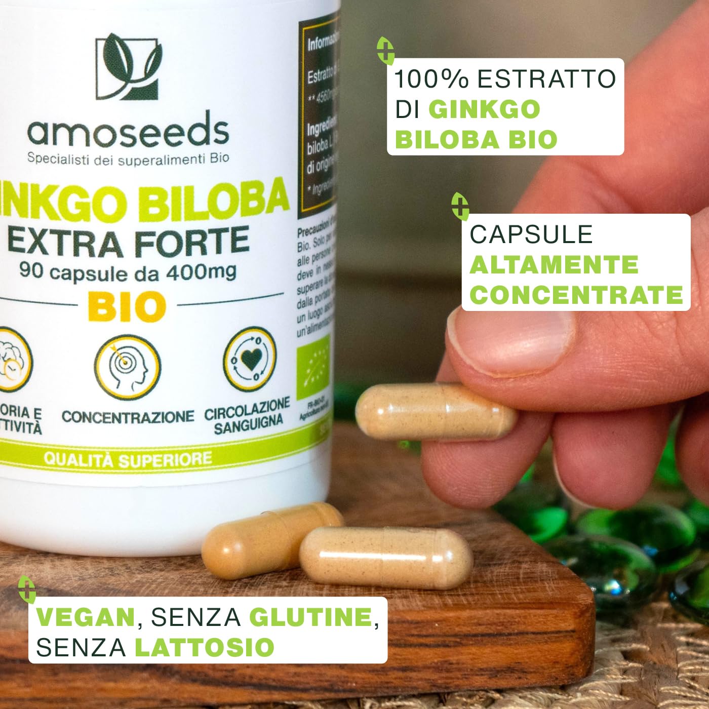 Ginkgo Biloba BIO | Extra Forte, 4560mg al giorno | Contiene Flavonoidi e Terpeni | 90 capsule vegane | Memoria, Concentrazione, Circolazione Sanguigna | Qualità Superiore