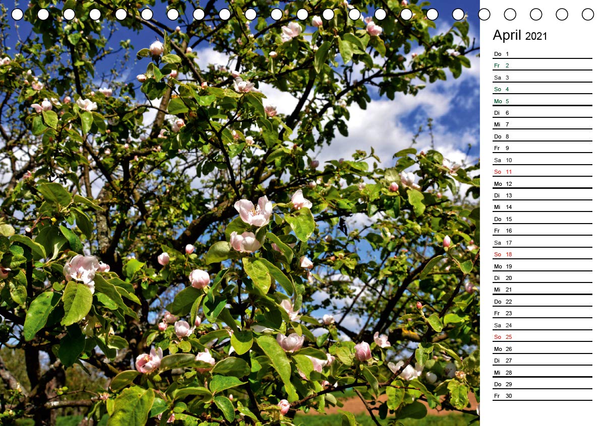 Landschaften des Kraichgaus (Tischkalender 2021 DIN A5 quer): Streuobstwiesen, Weinberge und Hohlwege prägen die Landschaft des Kraichgaus (Geburtstagskalender, 14 Seiten ) (CALVENDO Natur)