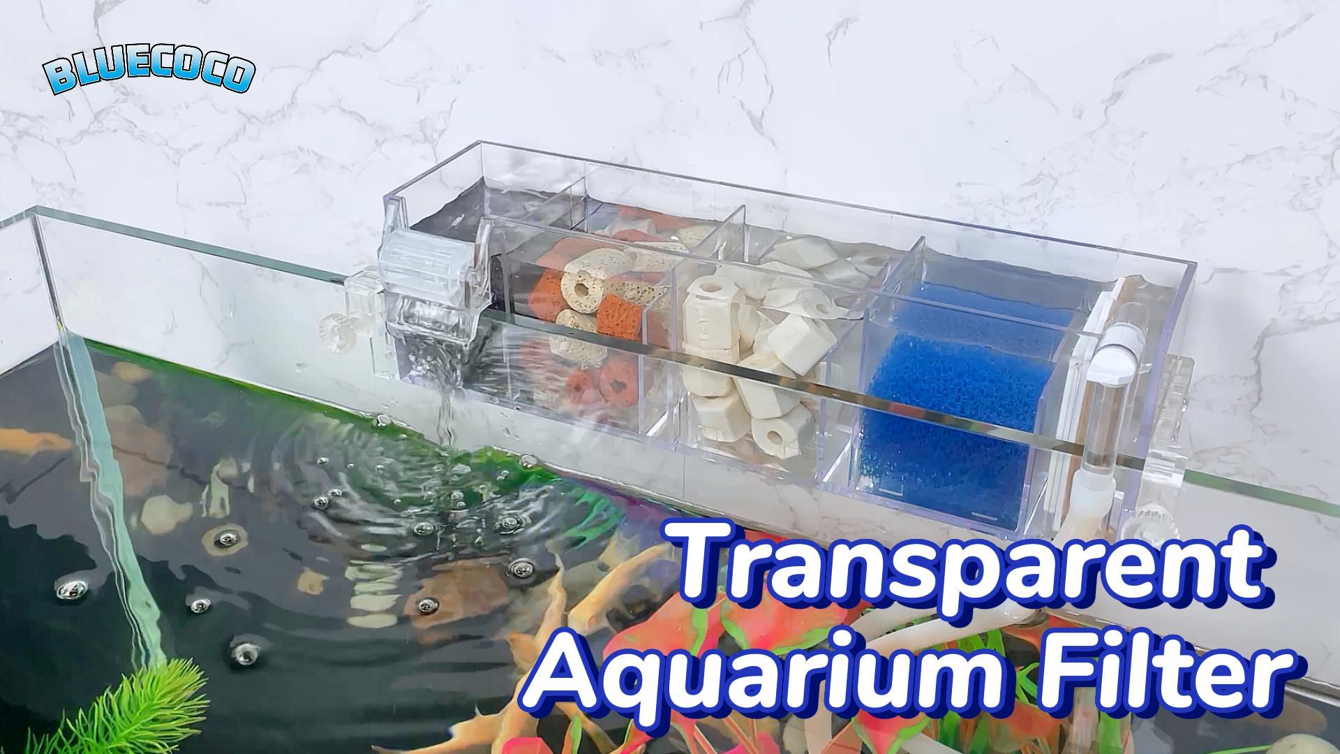 Watch Bluecoco Premium Multi-Layer Aquarium Filter on Amazon Live