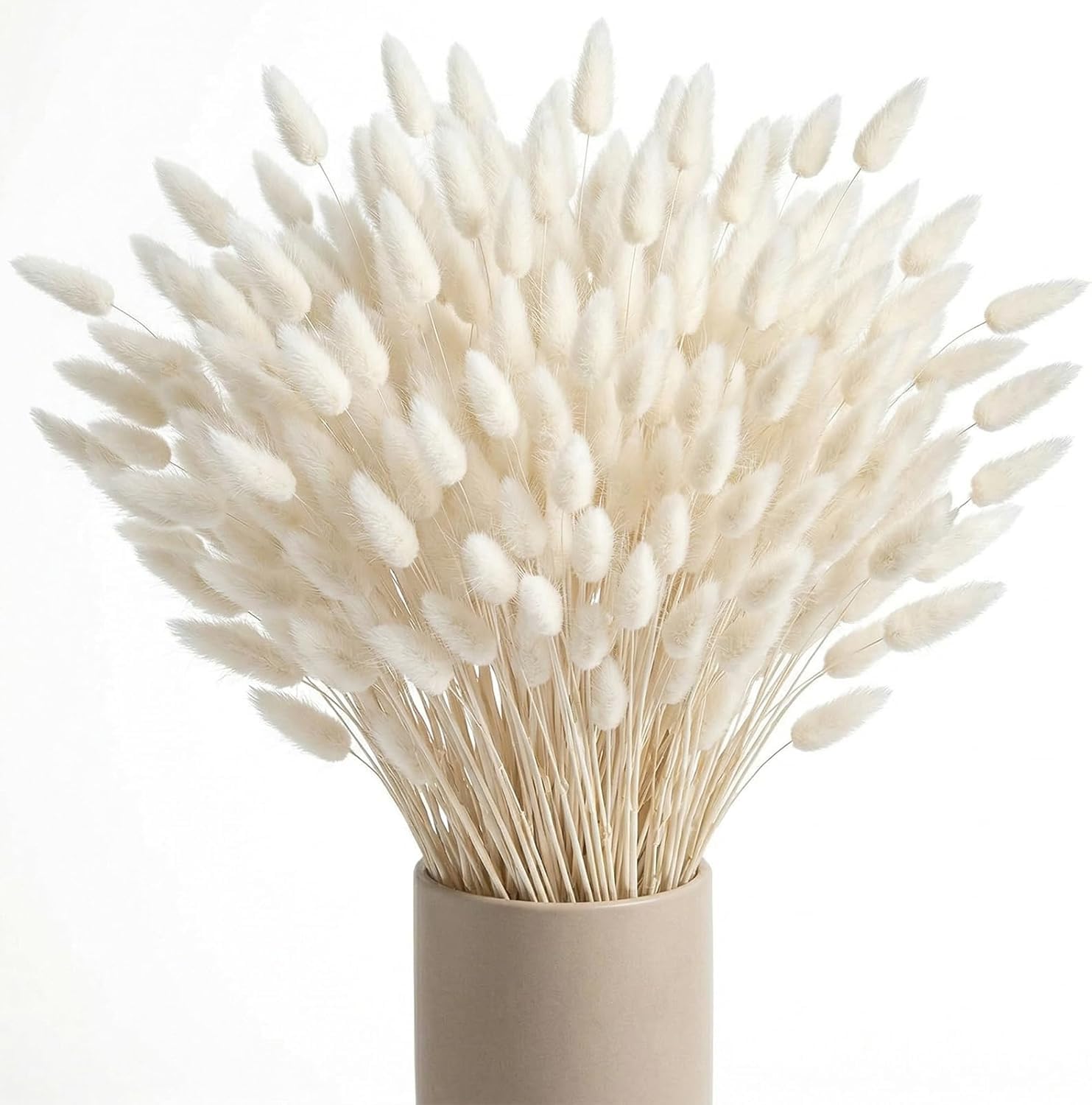Dried Pampas Grass Set - Boho Home Decor -8