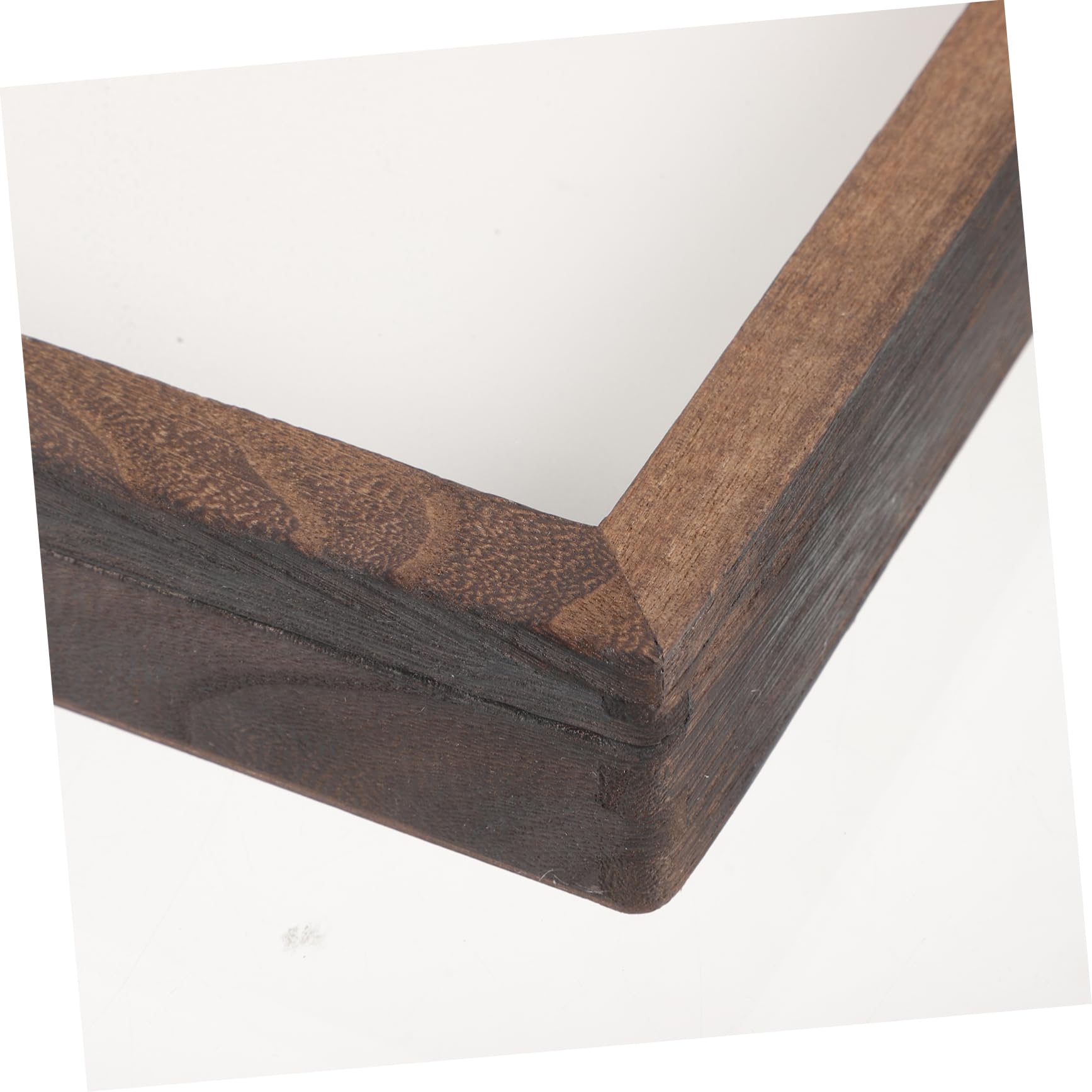 ORFOFE Scatola Espositiva Per Insetti e Farfalle in Acrilico Vintage Coperchio, Vetrina Per Esemplari e Piante Secche, Contenitore Multifunzionale Leggero Per Collezionisti e Amanti Della Natura