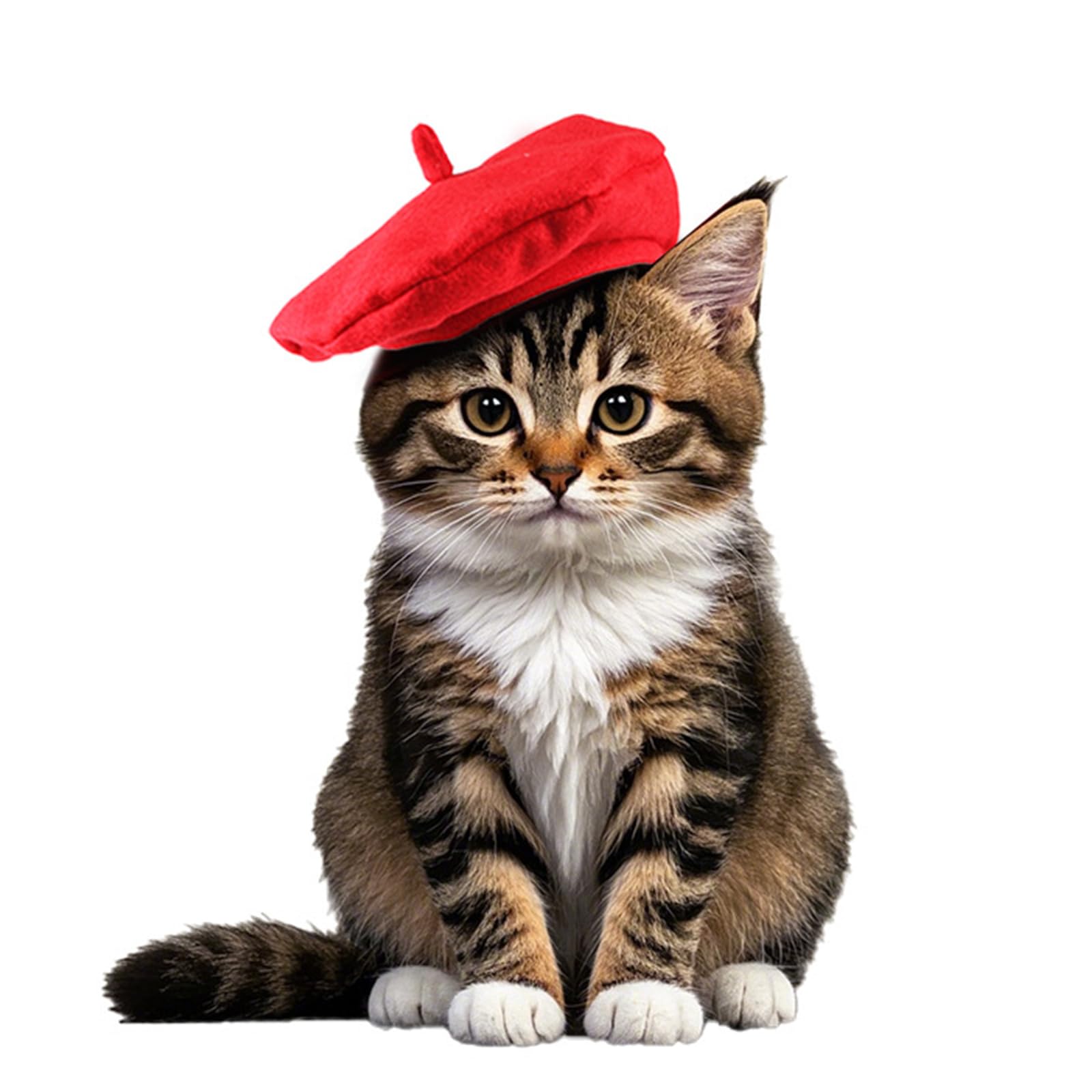 Qiansail Dog Beret Hat Cute Small Cat Cap Fashion Puppy Kitten Hats Wool Mini Caps Photo Props Accessories for Birthday Christmas Halloween (Red, S)