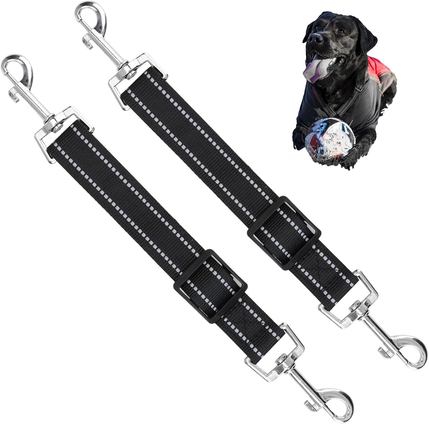 2 Pack Dog Collar Clips Reflective Nylon Leash for Dog, Quick Release