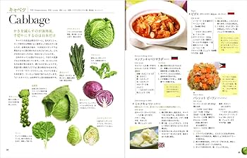 世界の野菜レシピなど4冊 716w-u1btnL._UF350,350_QL80_.jpg