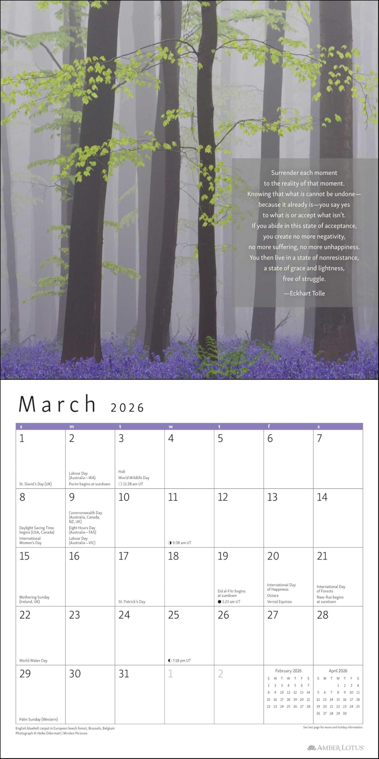 The Power of Now 2026 Wall Calendar: A Year of Inspirational Quotes