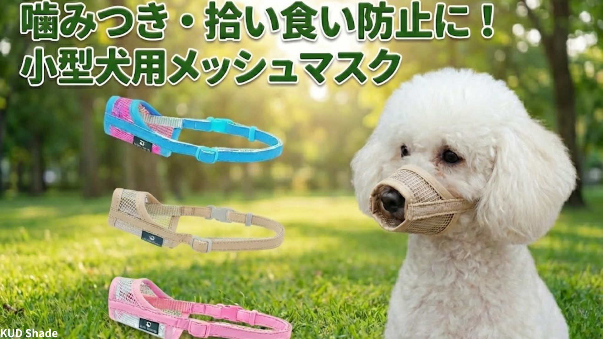 犬 イヌガミサマ ※額装無し INUKAO / イヌカオ (#54 シュナウザー)｜株式会社スミノエ インテリア
