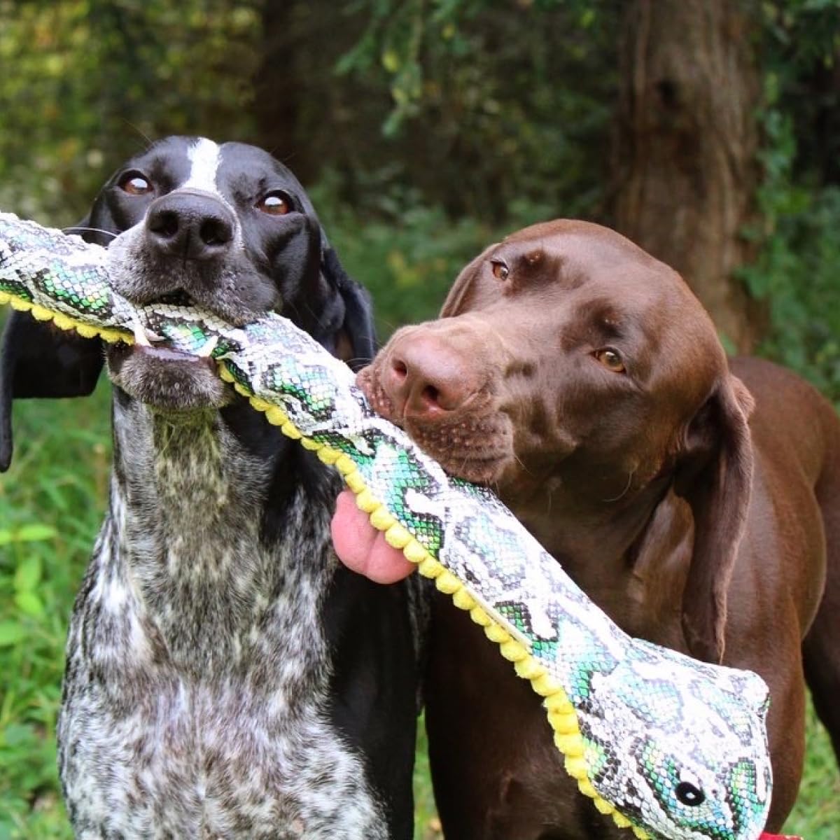Tall Tails Snake Plush Crunch Toy for Dogs