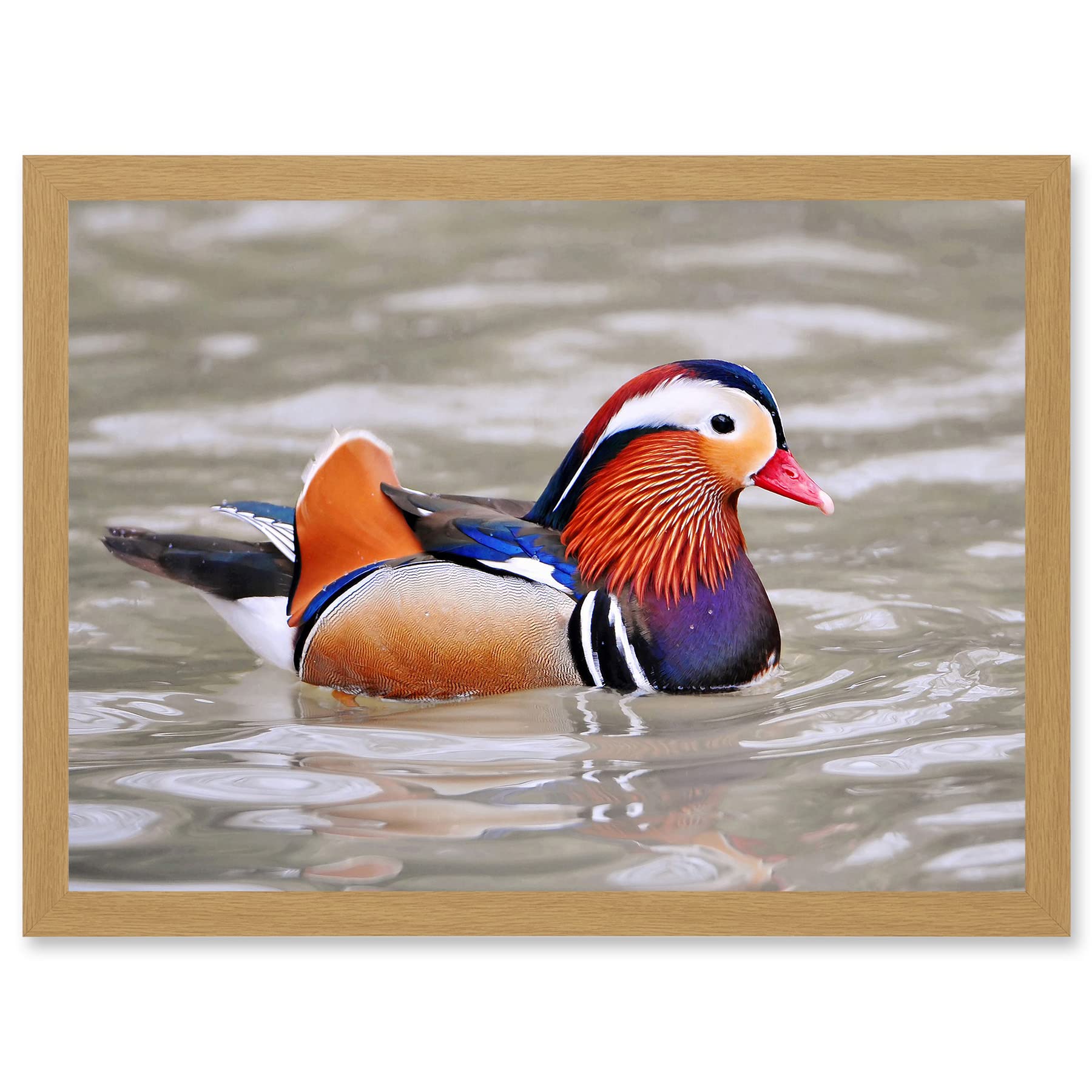 Mandarin Duck Male Animal Photo Framed Wall Art Print A4 - Artery8