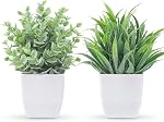 Der Rose 2 Emballages Petites Plantes Faux Mini Plantes artificielles en pot pour Bureau de table Maison Salle de bain Bureau Décor Intérieur