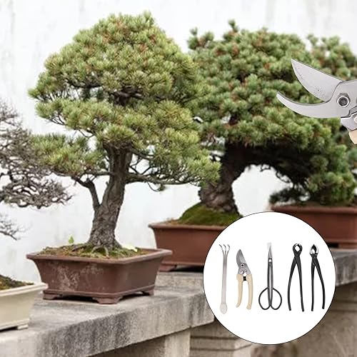 Miniatura 5 de Juego de herramientas de bonsái de 5 piezas con tijeras de podar de acero al carbono, cortador de ramas, tijeras, rastrillo y alicates, kit de