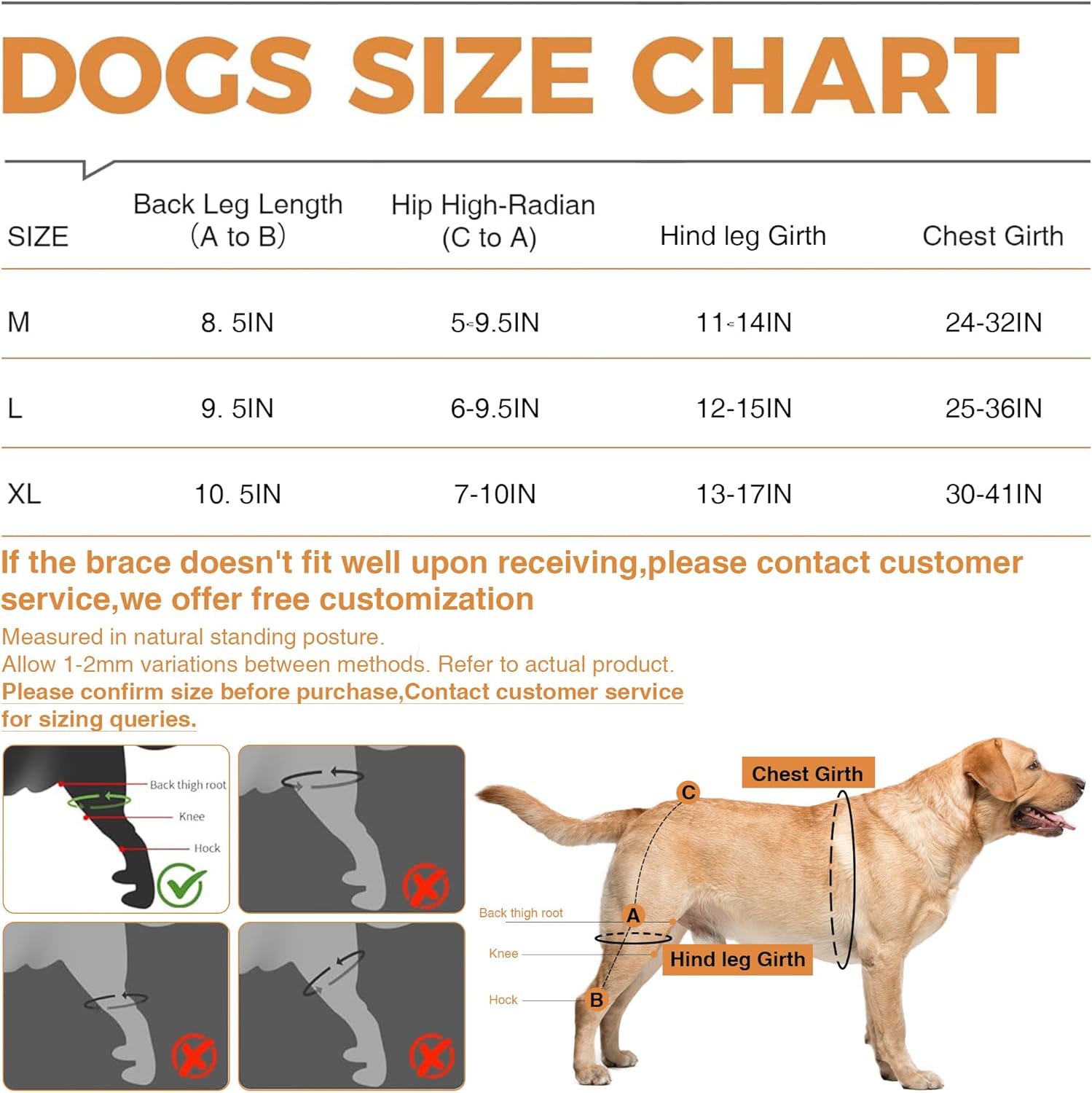 Dog ACL Knee Brace & Healthy Dog Treats Package - Recovery Support and Reward Your Pet
