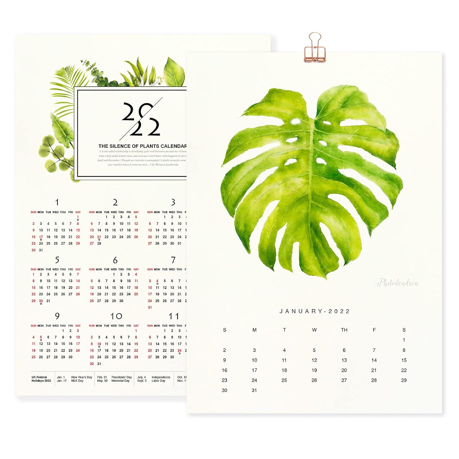 Amazon.com: 2022 Aesthetic Calendar Of Plant Painting, Wall Calendar For  New Year And Christmas Gift, 8.3 X 11.7 Inch Cc02 : Handmade Products