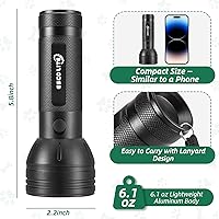 Vista 7 de ESCO LITE Linterna UV con luz negra, 51 LED 395 nM, detector ultravioleta de luz negra para orina de perro, manchas de mascotas y chinches de cama
