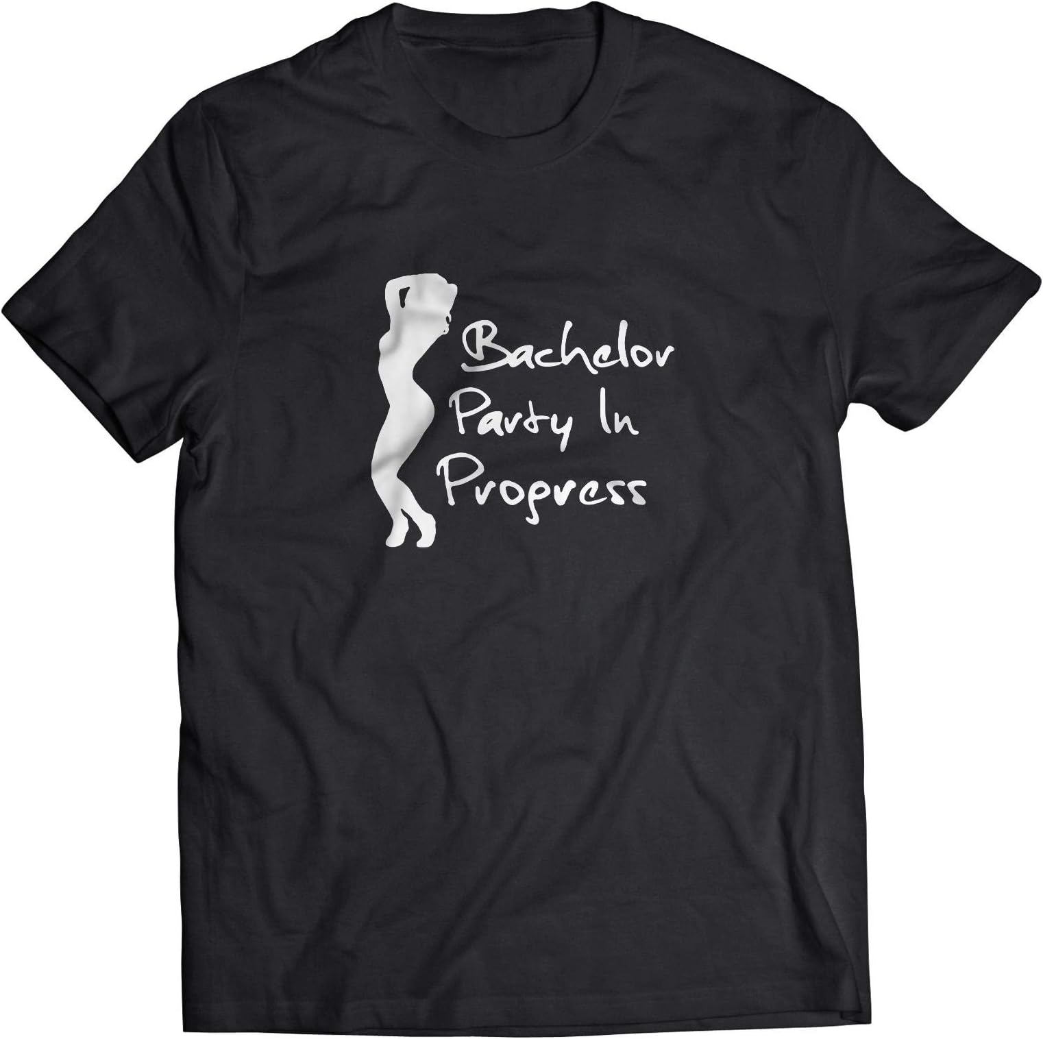 FuncartFuncart Bachelor Party in Progress T-Shirt Black