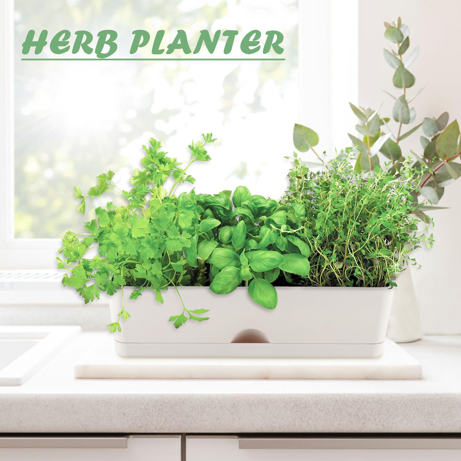 Blumenkästen Pflanzgefäße 40,6 cm Rechteckiger Pflanzkasten Rechteckige Pflanzgefäße für Außen- und Innenpflanzen Kunststoff Fensterbank Pflanzgefäß für Kräuter Gemüse Blumen Lange Fensterbank