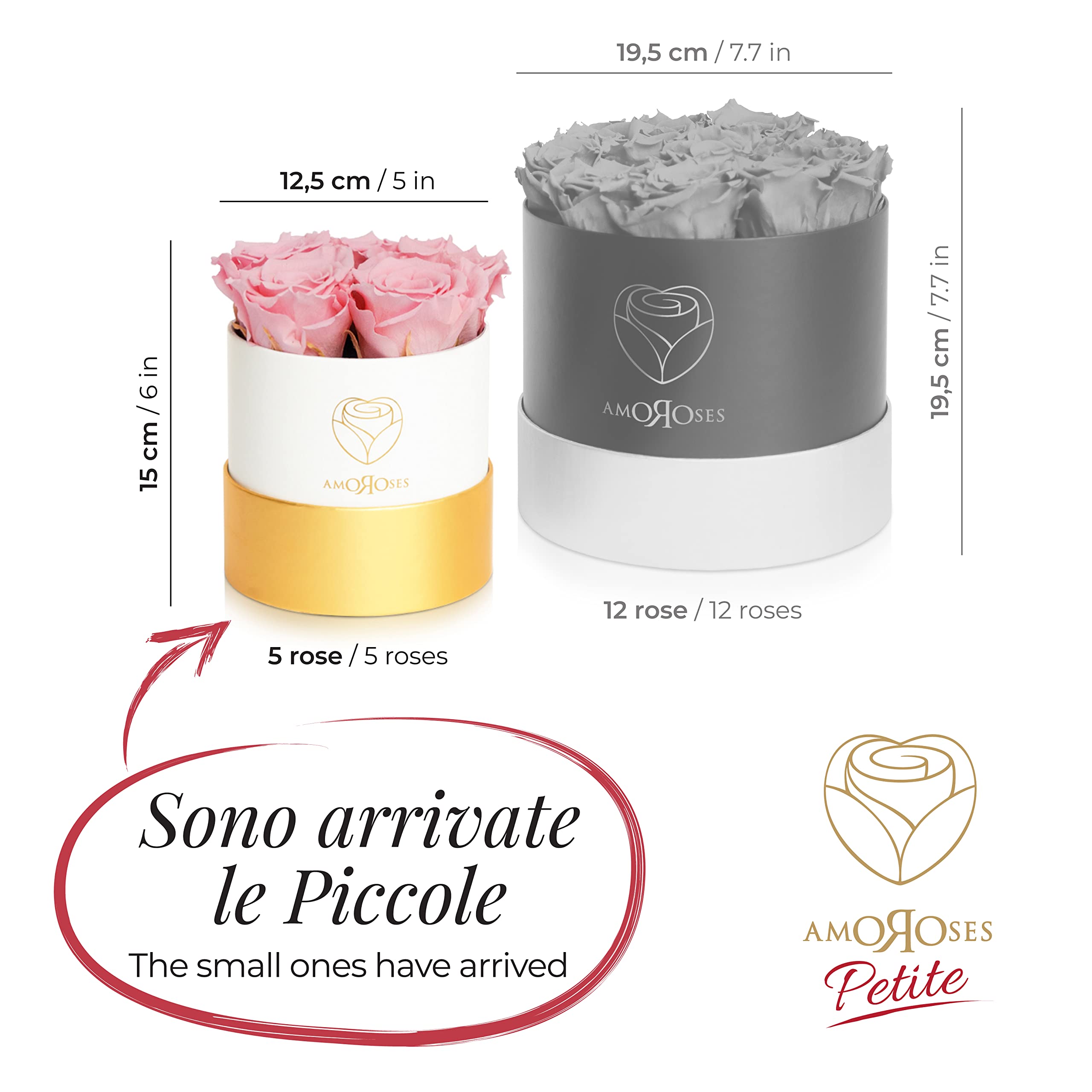 Amoroses Petite - Confezione Regalo 5 Rose Stabilizzate Eterne - Elegante Bouquet di Fiori Veri | Festa della mamma (Petite Scatola Bianca con Rose Rosa)