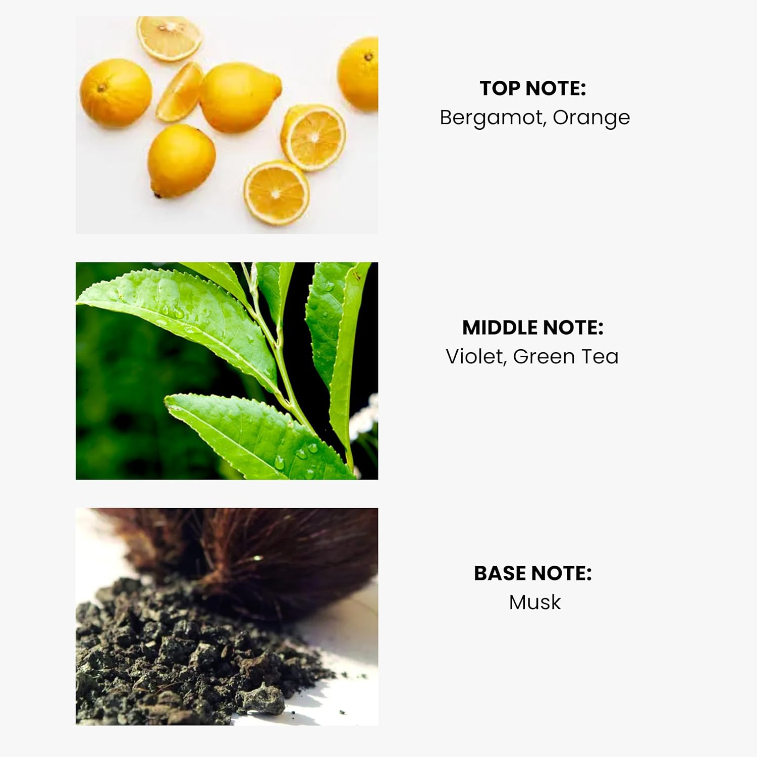 Green Tea Essential Oil for Diffusers - Premium Aromatherapy Oils Set for Home and Hotel, Scented Oil Diffuser for Relaxation, Eco-Friendly, Safe for Family and Pets, Diffuser Refill 100ml