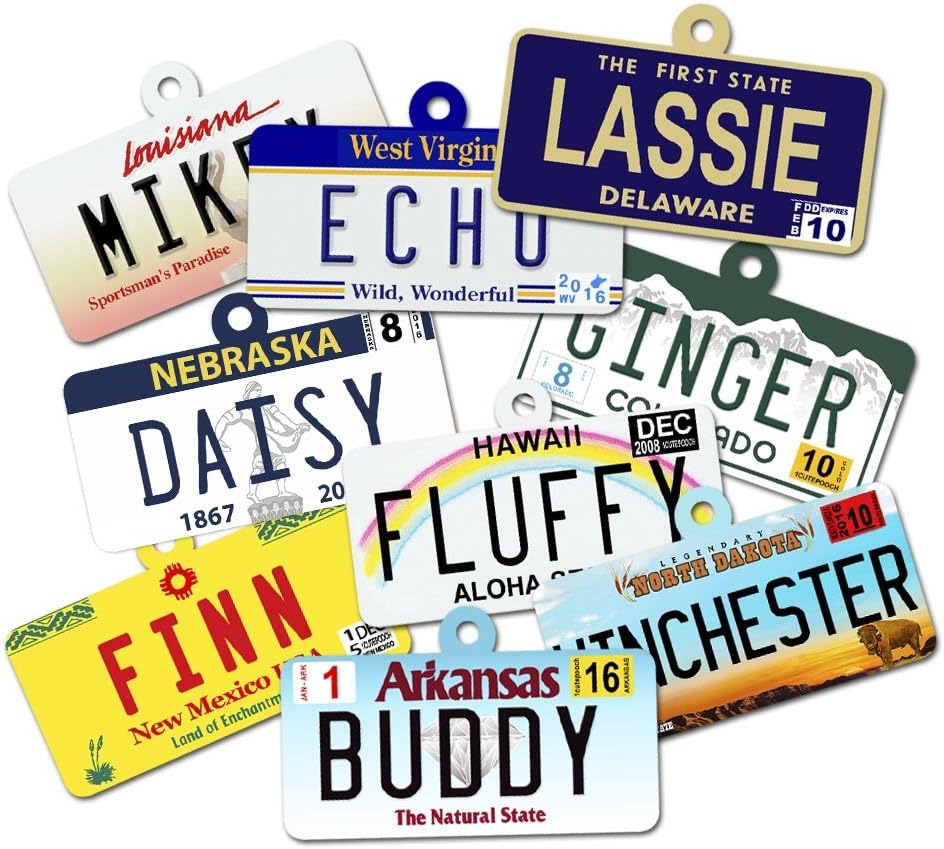 License Plate Custom Dog Tags for Pets - Personalized Pet ID Tags - Available For All 50 States - Dog Tags For Dogs - Dog ID Tag - Personalized Dog ID Tags - Cat ID Tags - With Pet Photo