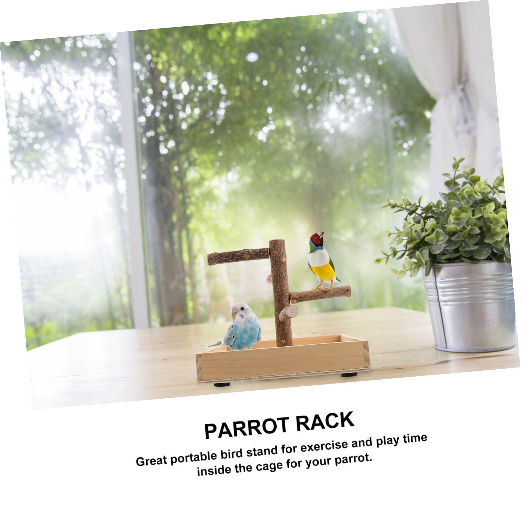 DOITOOL Percha de Madera para Pájaros Cockatiel Desarrolla Equilibrio y Coordinación Soporte Seguro para Morder Juguete de Entrenamiento para Aves en Casa