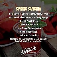 Vista 3 de DaVinci Gourmet Classic - Jarabe de arándanos azules, 25.4 onzas líquidas (paquete de 1)