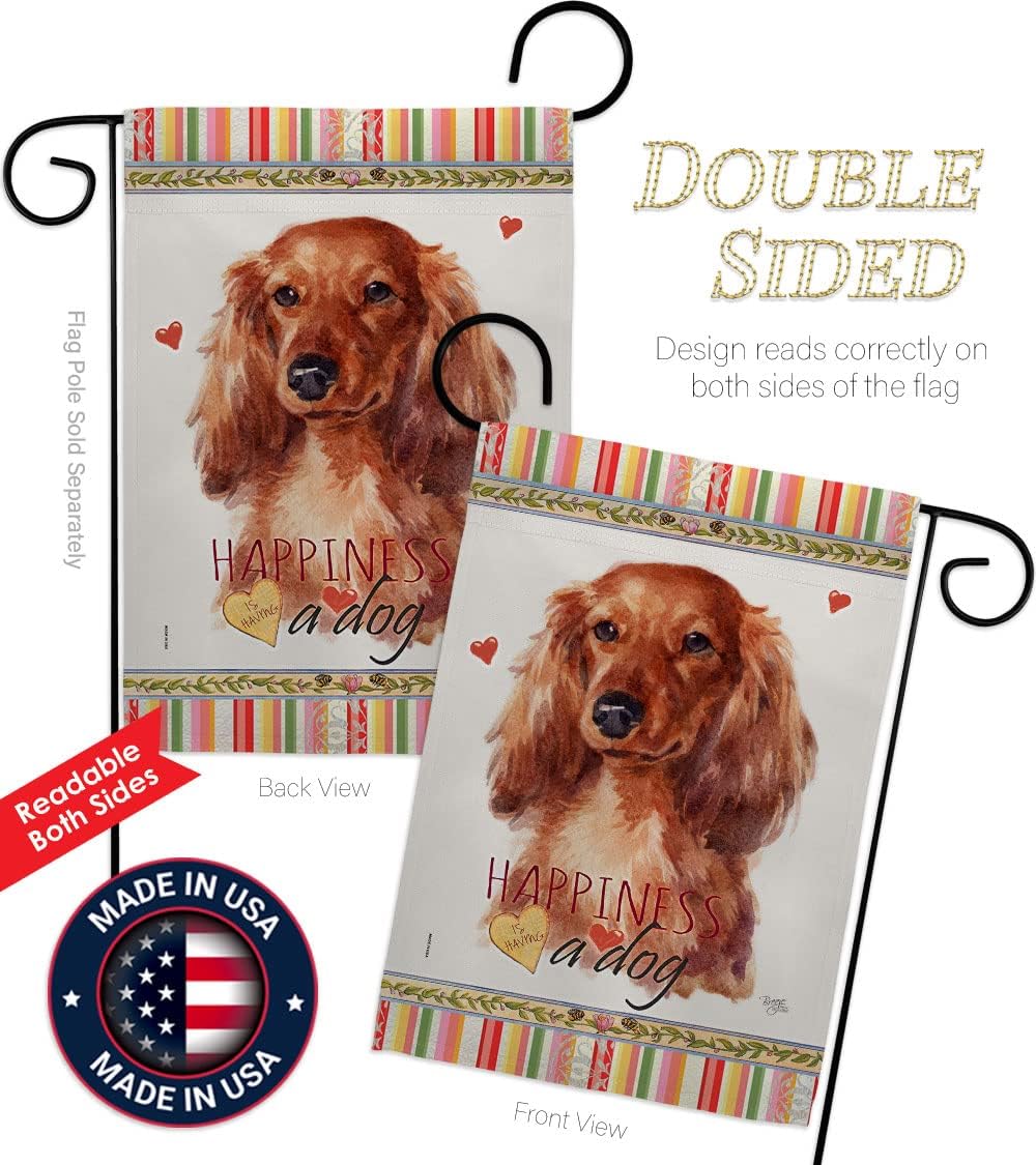 Breeze Decor Long Hair Dachshund Happiness Garden Flag-Set with Stand Dog Puppy Spoiled Paw Canine Fur Pet Nature Farm Animal Creature House Banner Small Yard Gift Double-Sided, Made in USA