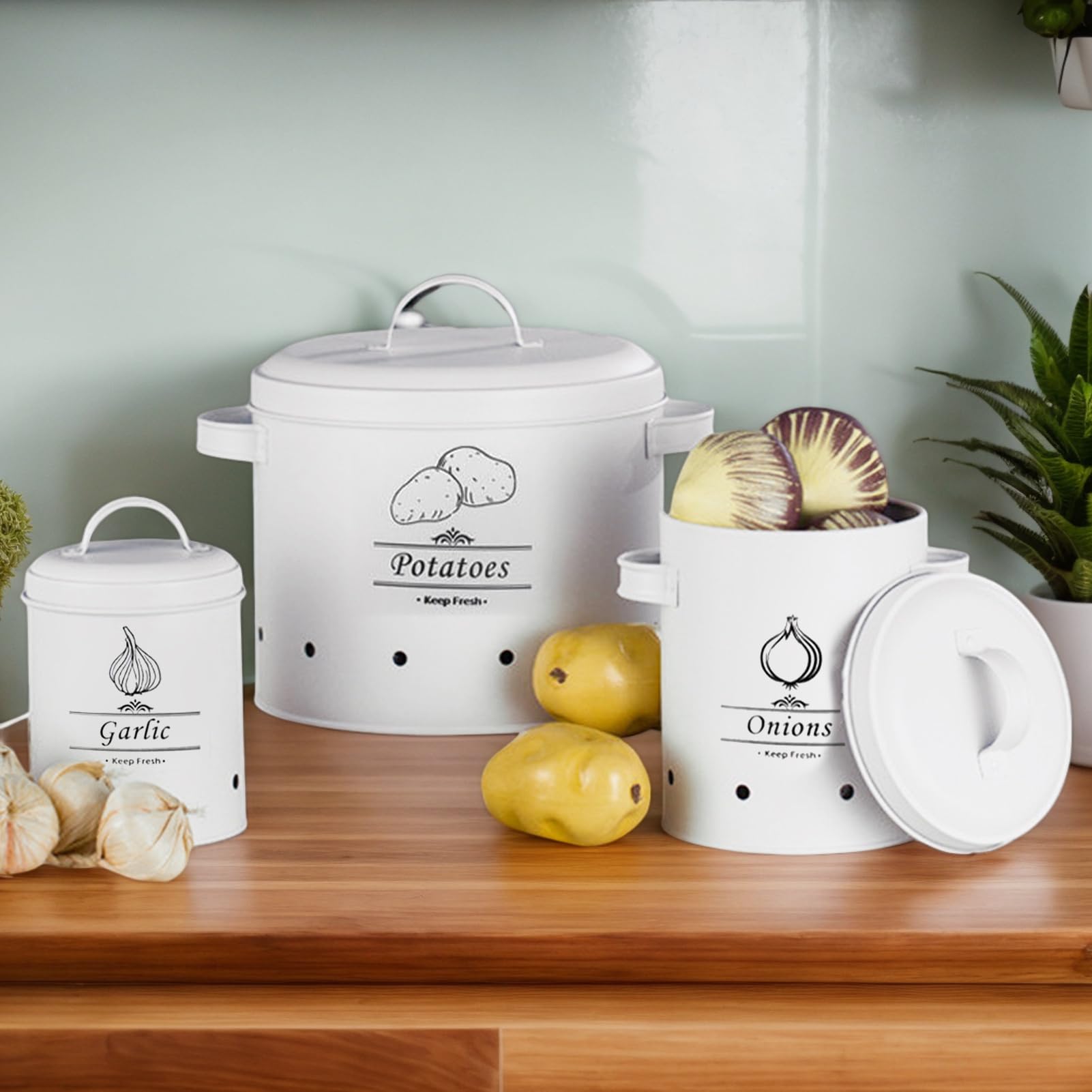Generisch Aufbewahrungsbehälter für – Weiße Vorratsdosen für Kartoffeln | und Zwiebeln | Vorratsdose Frischhaltedose Lebensmittel, Vintage-töpfe für Zuhause, Café, Küche